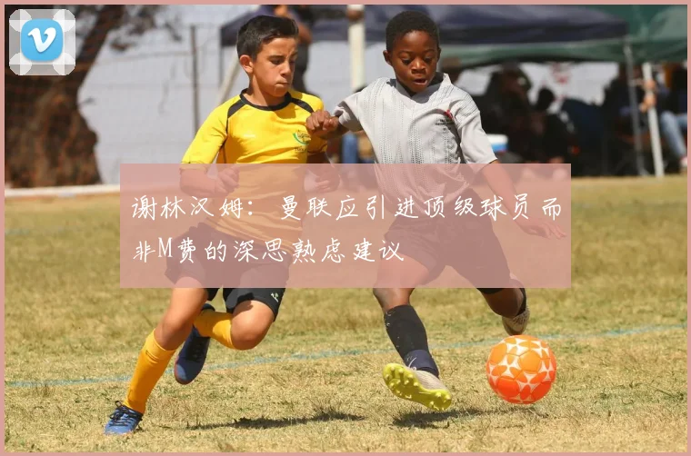 谢林汉姆：曼联应引进顶级球员而非M费的深思熟虑建议